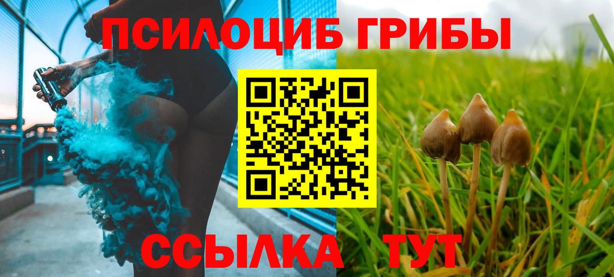 Псилоцибиновые грибы GOLDEN TEACHER Минеральные Воды