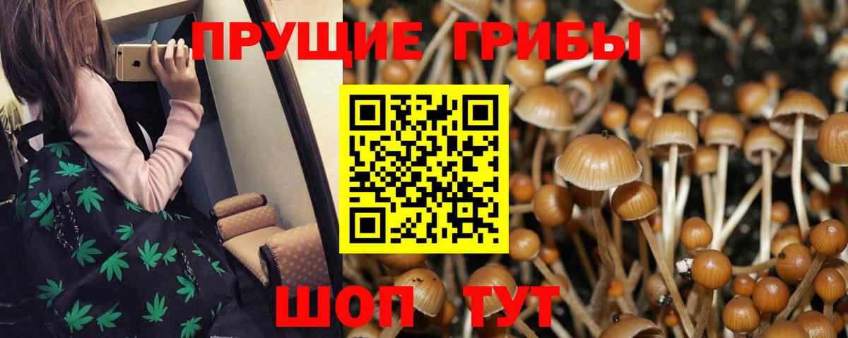 Минеральные Воды  Галлюциногенные грибы ЛСД  Псилоцибиновые грибы GOLDEN TEACHER  Вход с VPN 